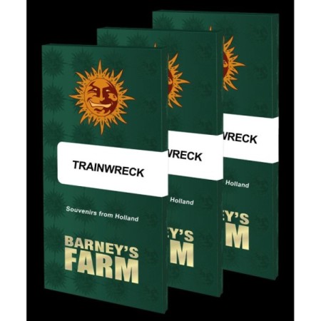Trainwreck - Barney's Farm Seeds | Feminized Cannabis Seeds