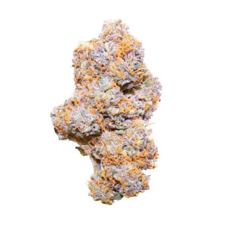 Purple Punch - Royal Queen Seeds | Autoflowering Cannabis Seeds