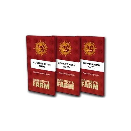 Cookies Kush - Barney's Farm Seeds | Autoflower Cannabis Seeds Cookies Kush - Barney's Farm Seeds | Autoflower Cannabis Seeds