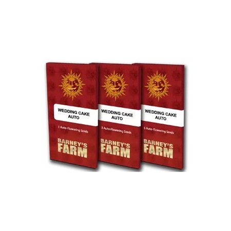 Wedding Cake - Barney's Farm Seeds | Autoflower Cannabis Seeds Wedding Cake - Barney's Farm Seeds | Autoflower Cannabis Seeds