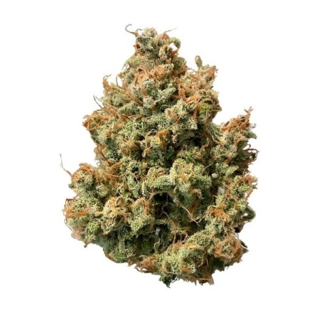 Sweet ZZ - Royal Queen Seeds | Autoflowering Cannabis Seeds