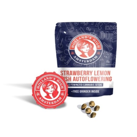 Strawberry Lemon Kush - Hollands High Seeds | Autoflowering Strawberry Lemon Kush - Hollands High Seeds | Autoflowering