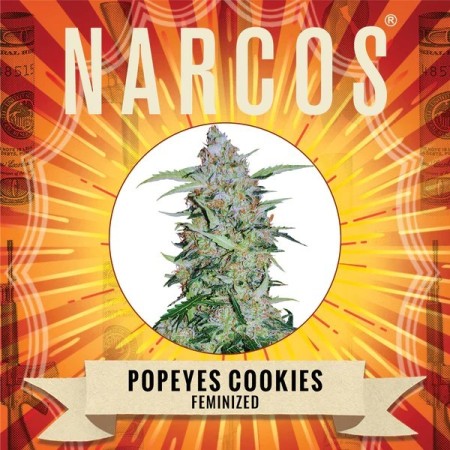 Popeyes Cookies - Narcos Seeds | Feminized Cannabis Seeds