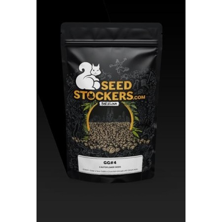 Gorilla Glue Nr. 4 (GG4) - Seedstockers Seeds | Autoflower