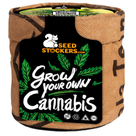 Mini Grow Kit - Seedstockers | Incl. 2 Critical XXL BCN Mini Grow Kit - Seedstockers | Incl. 2 Critical XXL BCN