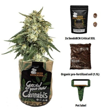 Mini Grow Kit - Seedstockers | Incl. 2 Critical XXL BCN Mini Grow Kit - Seedstockers | Incl. 2 Critical XXL BCN