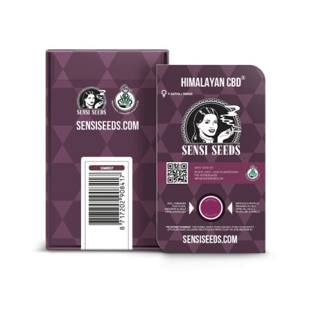 Himalayan - Sensi Seeds | CBD Cannabis Seeds Himalayan - Sensi Seeds | CBD Cannabis Seeds