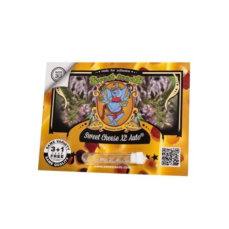 Sweet Cheese XL - Sweet Seeds | Autoflower Cannabis Seeds Sweet Cheese XL - Sweet Seeds | Autoflower Cannabis Seeds