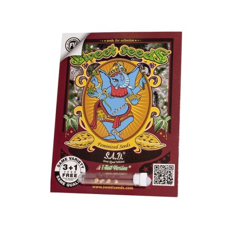 S.A.D. Sweet Afgani Delicious F1 - Sweet Seeds | Feminized
