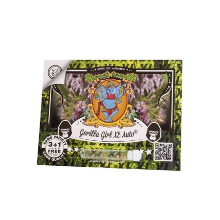 Gorilla Girl XL - Sweet Seeds | Autoflower Cannabis Seeds