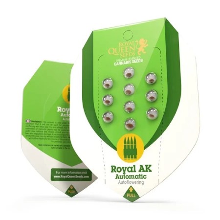 Royal AK - Royal Queen Seeds | Autoflowering Cannabis Seeds Royal AK - Royal Queen Seeds | Autoflowering Cannabis Seeds