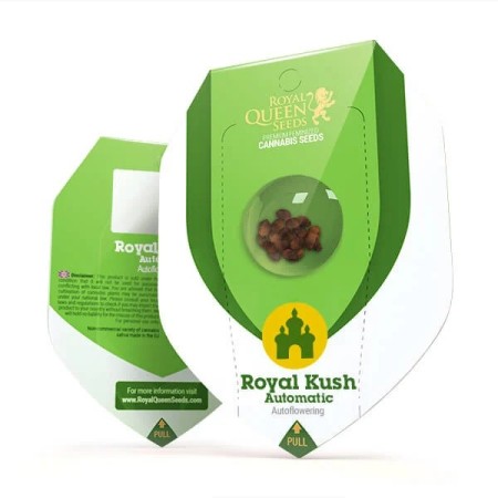 Royal Kush - Royal Queen Seeds | Autoflowering Cannabis Seeds Royal Kush - Royal Queen Seeds | Autoflowering Cannabis Seeds