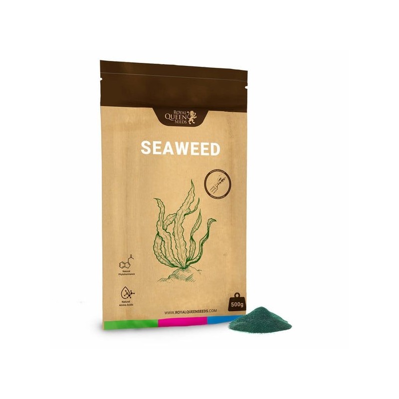 Seaweed - Royal Queen Seeds | Seaweed Extract