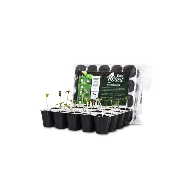 Easy Start - Royal Queen Seeds | Seedling Feed