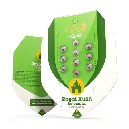 Royal Kush - Royal Queen Seeds | Autoflowering Cannabis Seeds Royal Kush - Royal Queen Seeds | Autoflowering Cannabis Seeds