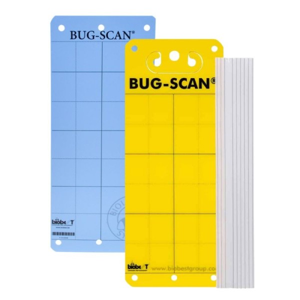 Catch Strip / Adhesive Strip 10 pcs/pack | Yellow & Blue