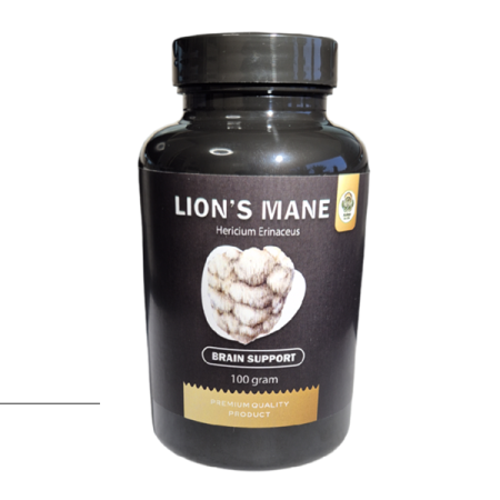 Lion's Mane Hericium erinaceus Brain Support | Mushroom Supplements