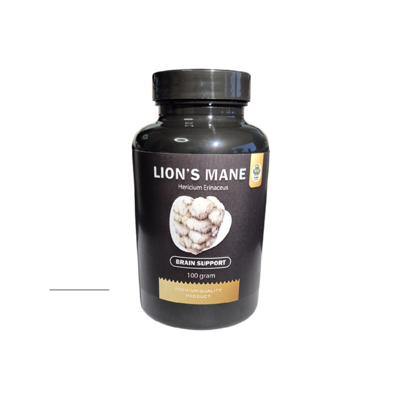 Lion's Mane Hericium erinaceus Brain Support | Mushroom Supplements