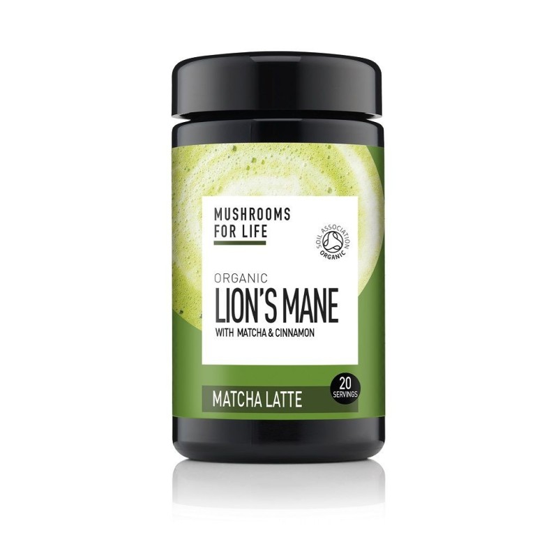 Lion's Mane Matcha Latte | Mushrooms4Life Lion's Mane Matcha Latte | Mushrooms4Life