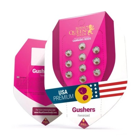 Gushers - Royal Queen Seeds | Feminized Cannabis Seeds Gushers - Royal Queen Seeds | Feminized Cannabis Seeds