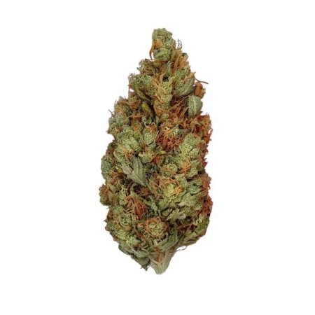 Green Gelato - Royal Queen Seeds | Feminized Cannabis Seeds Green Gelato - Royal Queen Seeds | Feminized Cannabis Seeds
