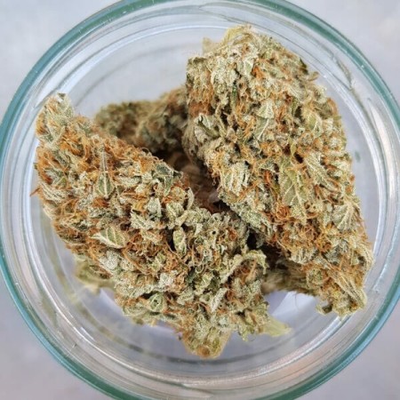 Green Gelato - Royal Queen Seeds | Feminized Cannabis Seeds Green Gelato - Royal Queen Seeds | Feminized Cannabis Seeds