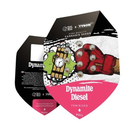 Dynamite Diesel - Tyson 2.0 | Royal Queen Seeds | Feminized Dynamite Diesel - Tyson 2.0 | Royal Queen Seeds | Feminized