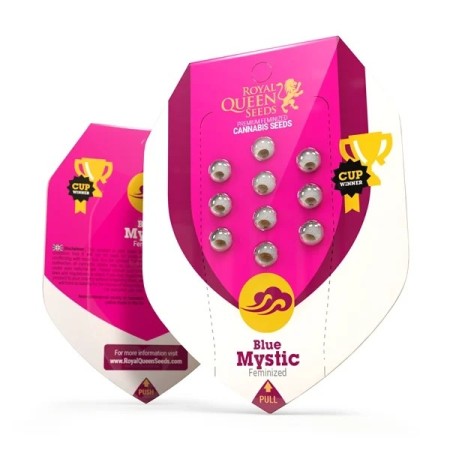 Blue Mystic - Royal Queen Seeds | Feminized Cannabis Seeds