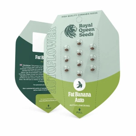 Fat Banana - Royal Queen Seeds | Autoflowering Cannabis Seeds