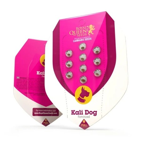 Kali Dog - Royal Queen Seeds | Feminized Cannabis Seeds Kali Dog - Royal Queen Seeds | Feminized Cannabis Seeds