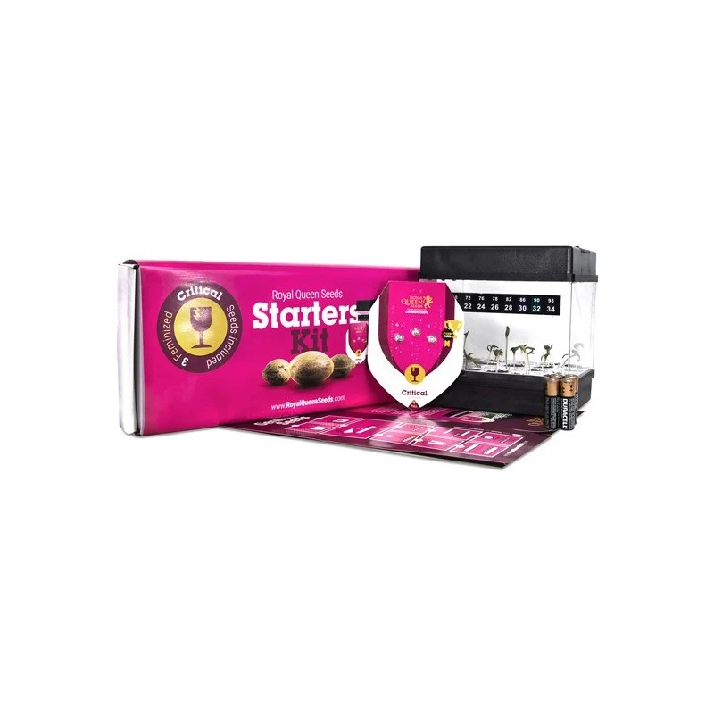 Royal Queen Seeds Starterskit | 3 Cannabis Seeds Critical Royal Queen Seeds Starterskit | 3 Cannabis Seeds Critical