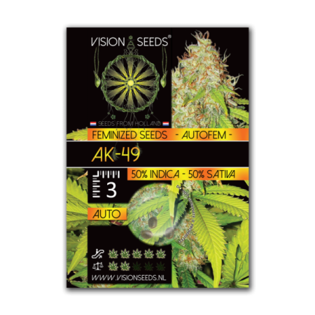 AK-49 - Vision Seeds | Autoflower Cannabis Seeds