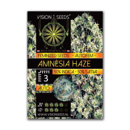 Amnesia Haze - Vision Seeds | Autoflower Cannabis Seeds