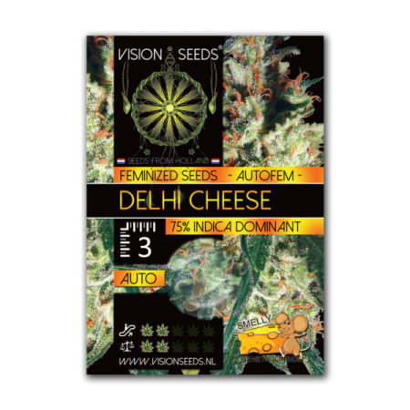 Delhi Cheese - Vision Seeds | Autoflower Cannabis Seeds