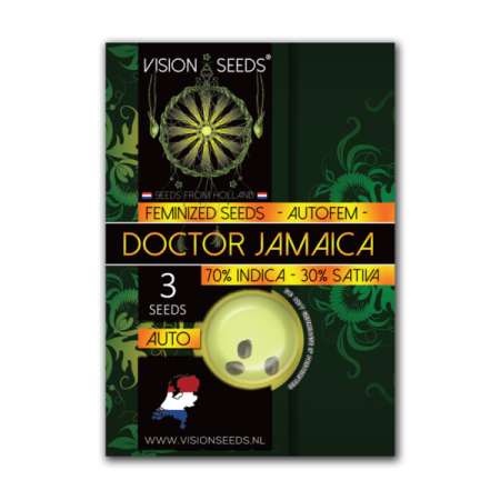 Doctor Jamaica - Vision Seeds | Autoflower Cannabis Seeds