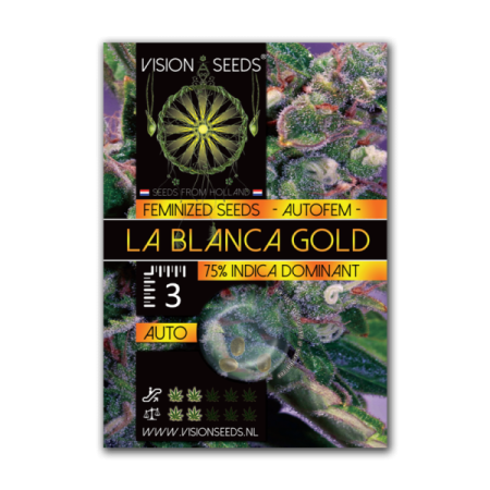 la Blanca Gold - Vision Seeds | Autoflower Cannabis Seeds