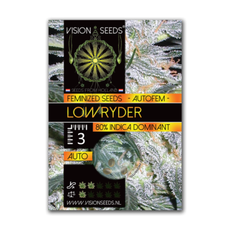 Lowryder - Vision Seeds | Autoflower Cannabis Seeds