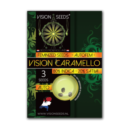 Vision Caramello - Vision Seeds | Autoflower Cannabis Seeds