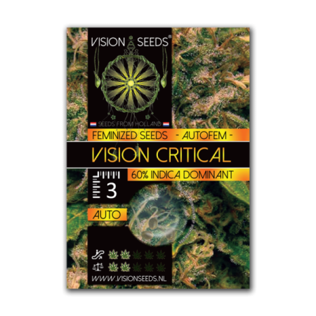 Critical - Vision Seeds | Autoflower Cannabis Seeds