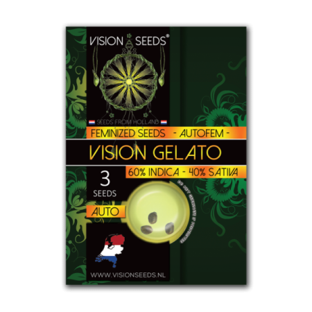 Gelato - Vision Seeds | Autoflower Cannabis Seeds