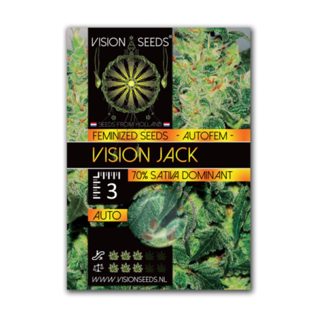 Jack - Vision Seeds | Autoflower Cannabis Seeds