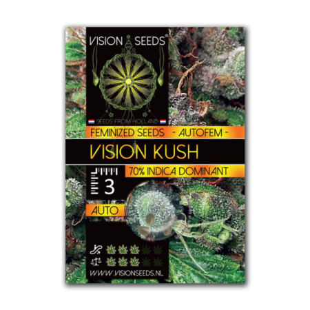 Kush - Vision Seeds | Autoflower Cannabis Seeds