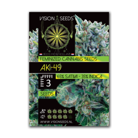 AK-49 - Vision Seeds | Feminized Cannabis Seeds