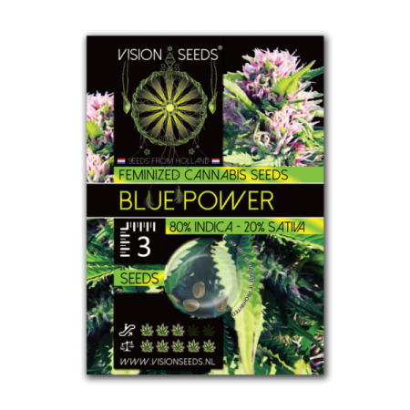 Blue Power - Vision Seeds | Feminized Cannabis Seeds