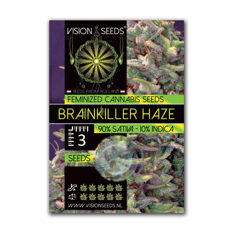 Brainkiller Haze - Vision Seeds | Feminized Cannabis Seeds Brainkiller Haze - Vision Seeds | Feminized Cannabis Seeds