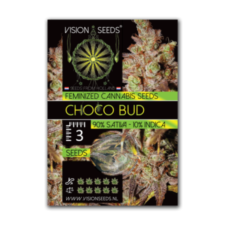Choco Bud - Vision Seeds | Feminized Cannabis Seeds