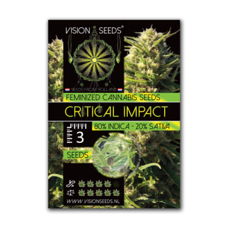 Critical impact - Vision Seeds | Feminized Cannabis Seeds