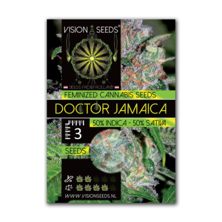 Doctor Jamaica - Vision Seeds | Feminized Cannabis Seeds