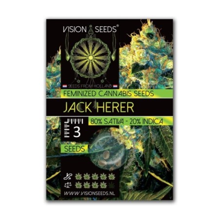 Jack Herrer - Vision Seeds | Feminized Cannabis Seeds