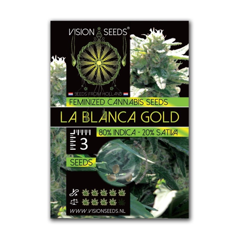 La Blanca Gold - Vision Seeds | Feminized Cannabis Seeds